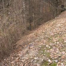 Obnova dvorišča in vrta-pred izvedbo