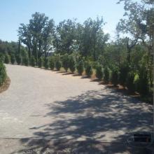 Končni izdelek-dovoz